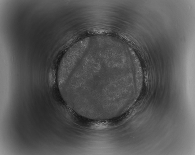 X0000096390606200802211144
