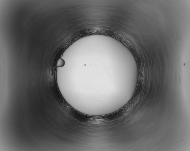 X0000096390607200802211143