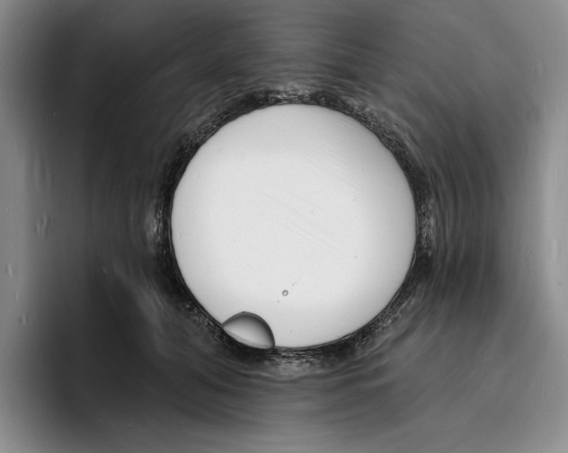 X0000096390608200802211143