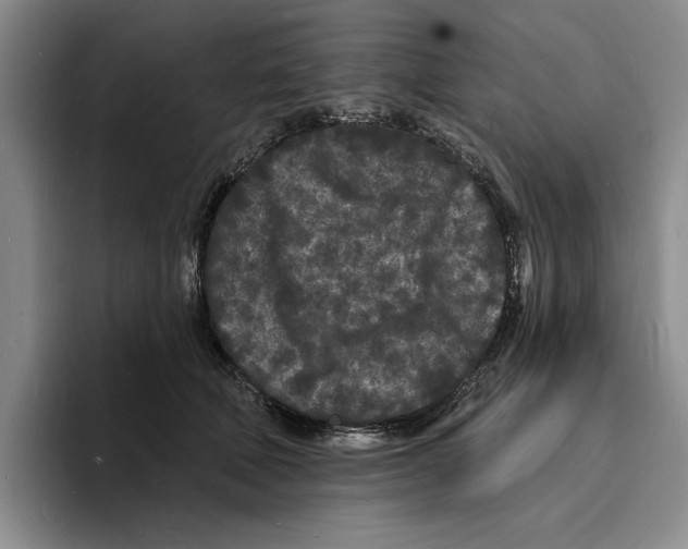 X0000096390610200802211143