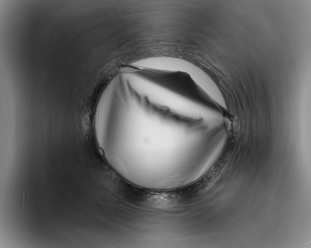 X0000096390611200802211143