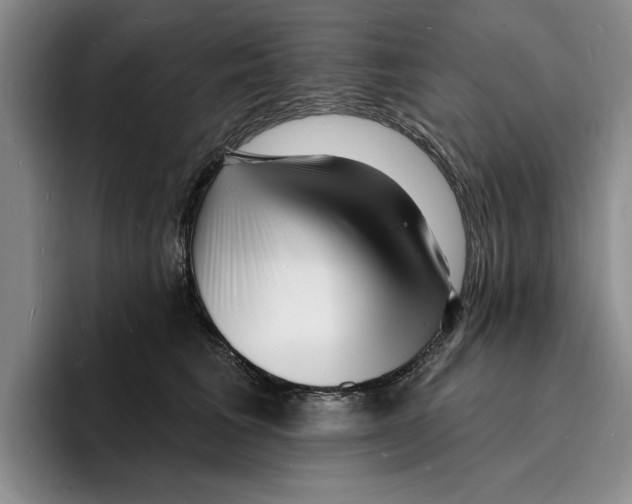 X0000096390613200802211143