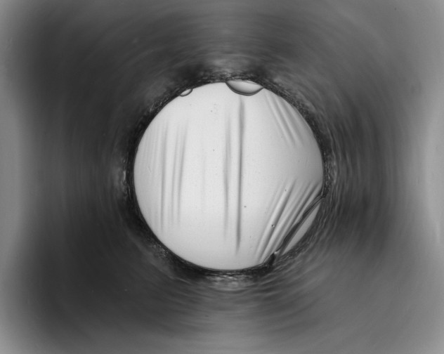 X0000096390615200802211143
