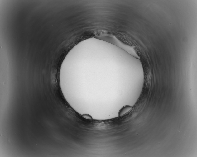 X0000096390616200802211143