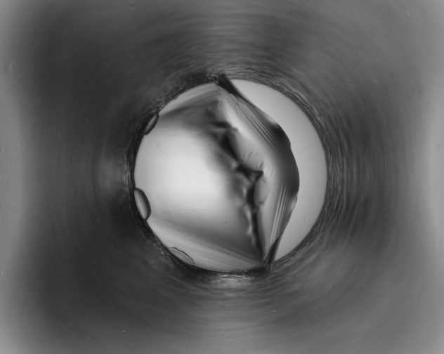 X0000096390617200802211143