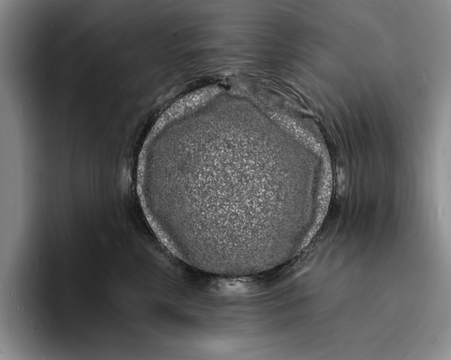 X0000096390618200802211143