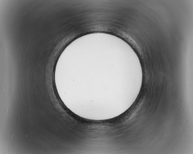 X0000096390625200802211143