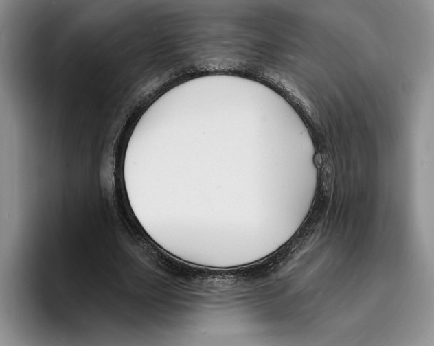 X0000096390631200802211143
