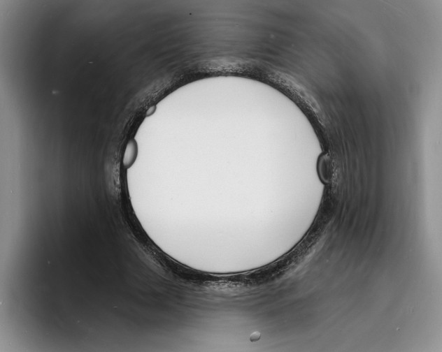 X0000096390633200802211143