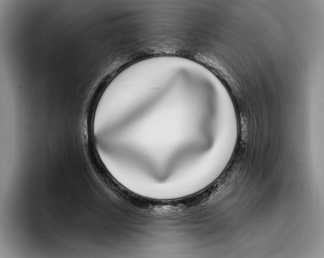 X0000096390634200802211143