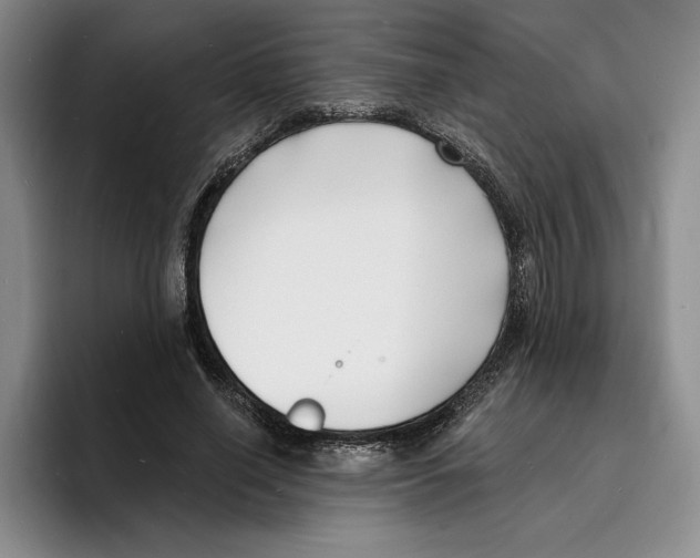 X0000096390638200802211143