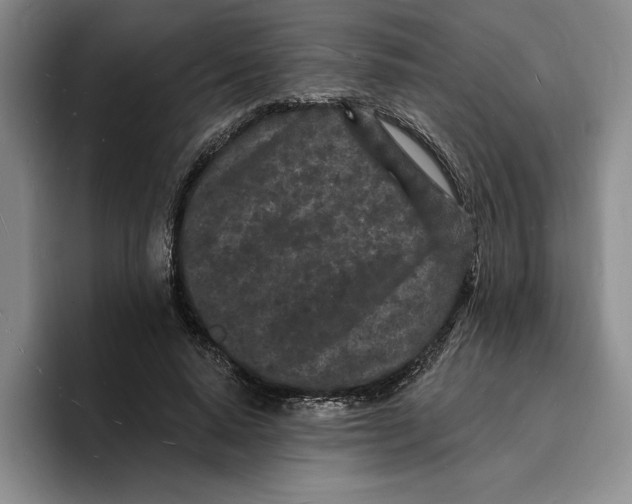 X0000096390640200802211143