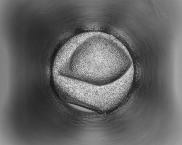 X0000096390641200802211143