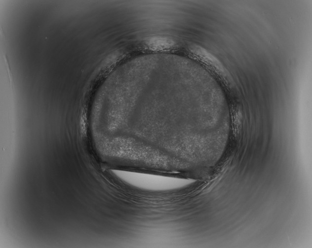 X0000096390644200802211143