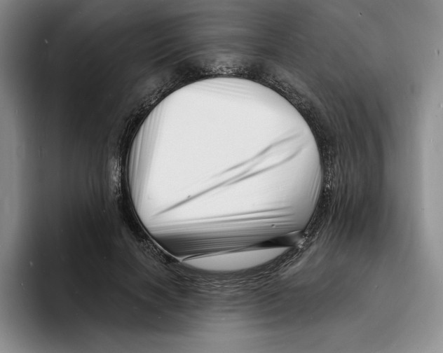 X0000096390646200802211143
