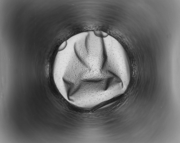 X0000096390647200802211143