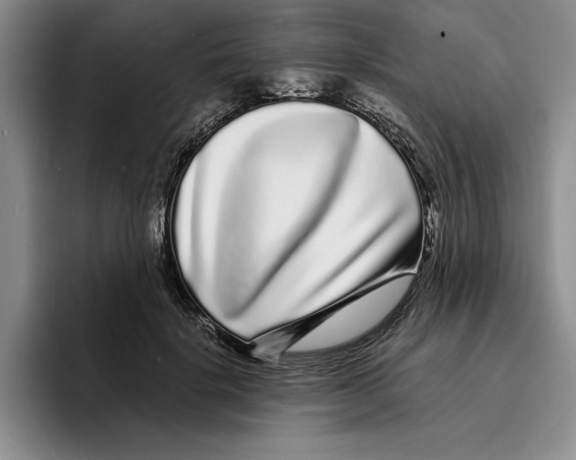 X0000096390652200802211143