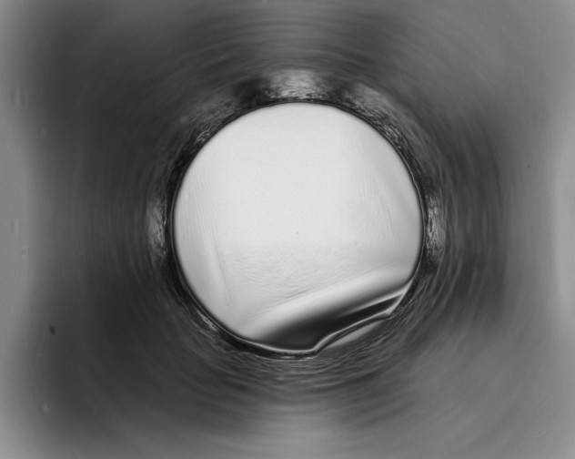 X0000096390653200802211143