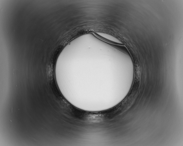 X0000096390657200802211143