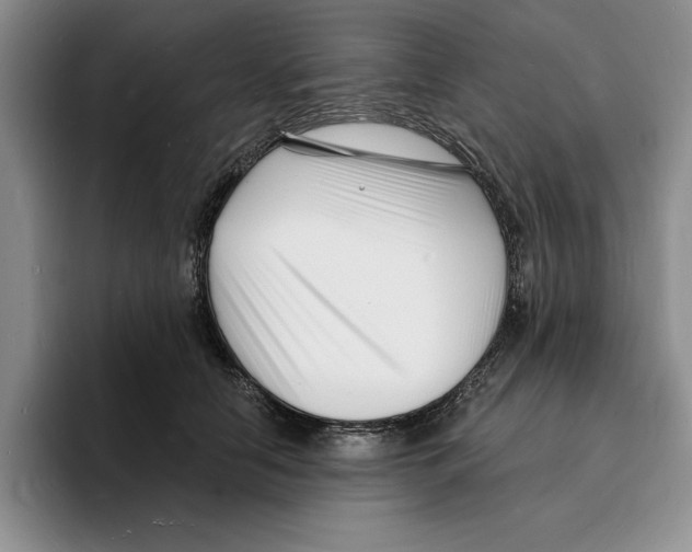X0000096390658200802211143