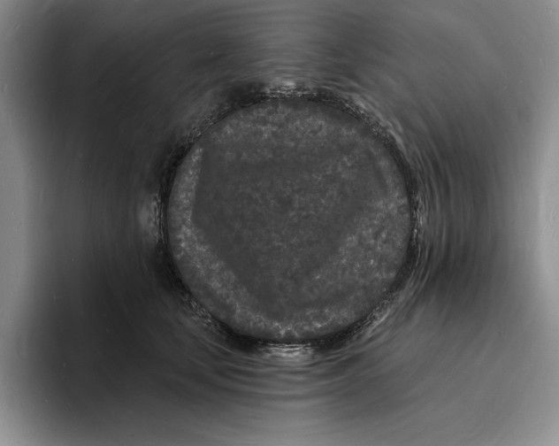 X0000096390659200802211143