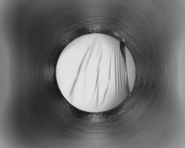 X0000096390660200802211143