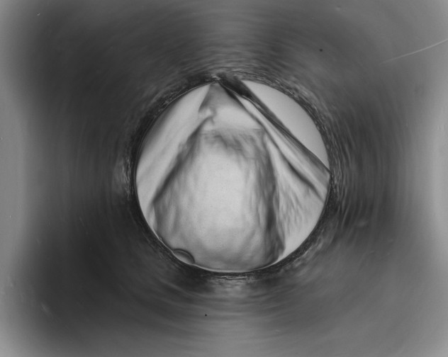 X0000096390661200802211143