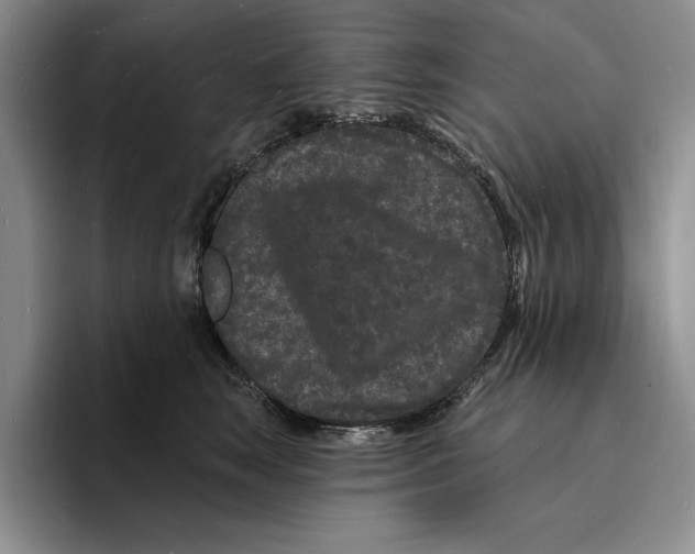 X0000096390663200802211143