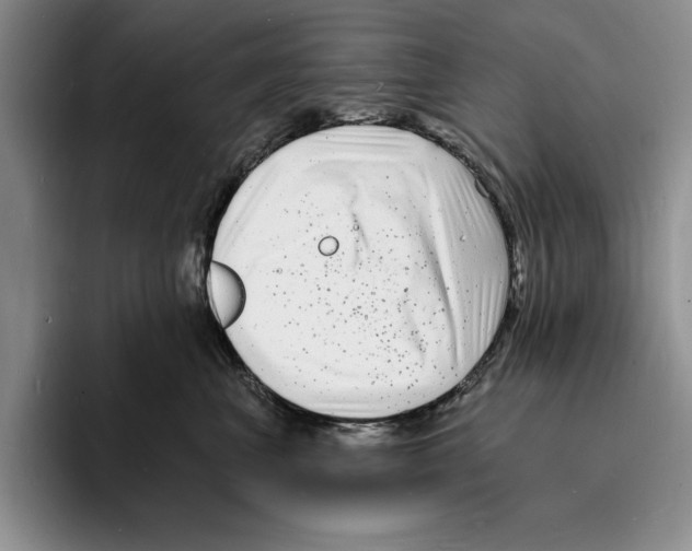 X0000096390667200802211143
