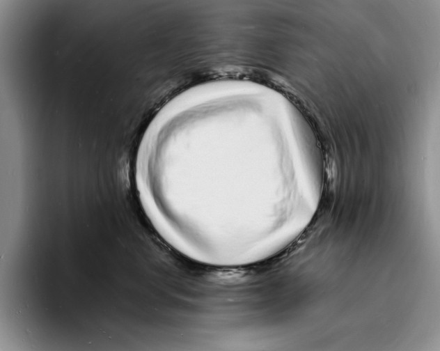 X0000096390668200802211143