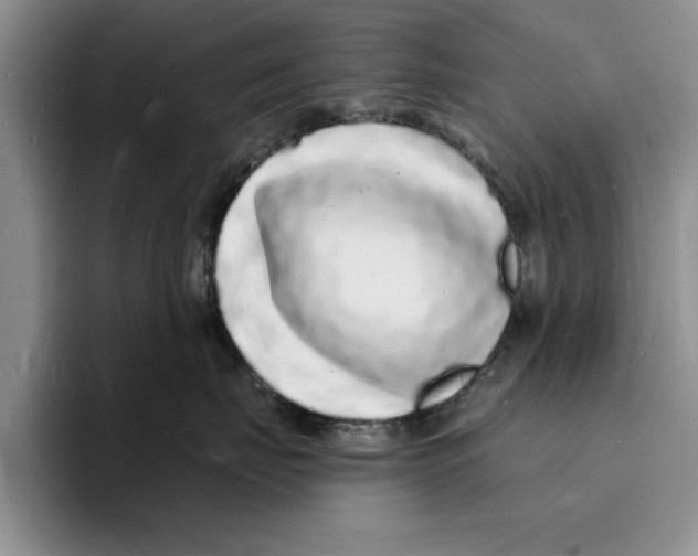 X0000096390671200802211143