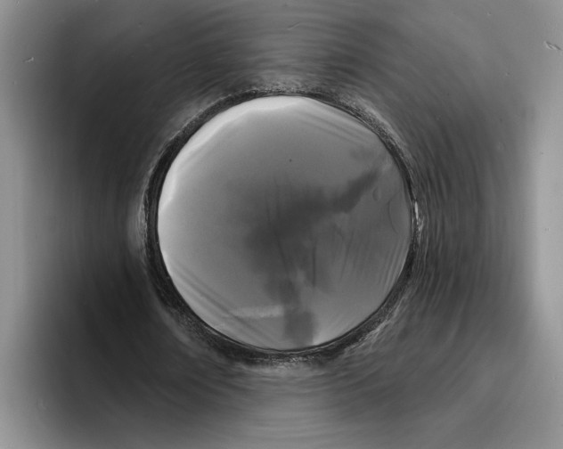 X0000096390674200802211142