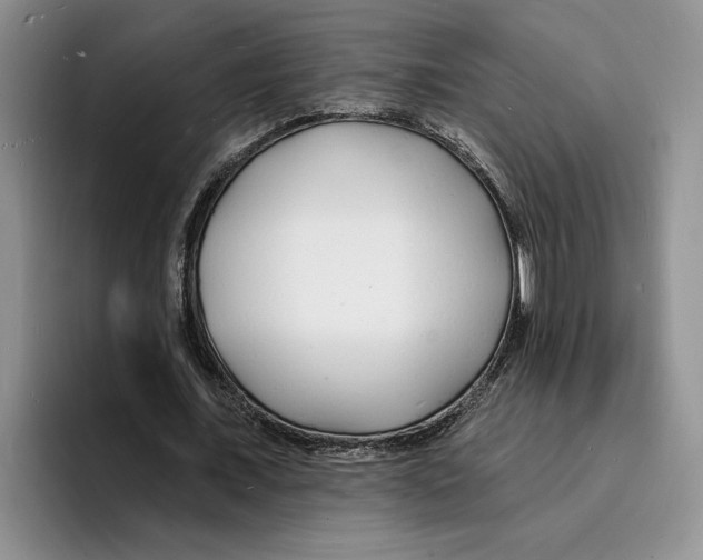 X0000096390675200802211142