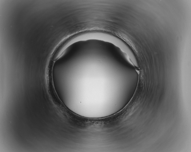 X0000096390676200802211142