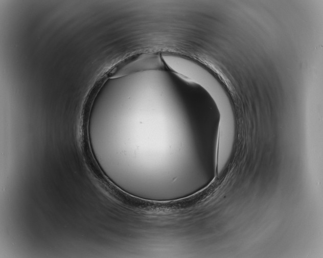 X0000096390677200802211142