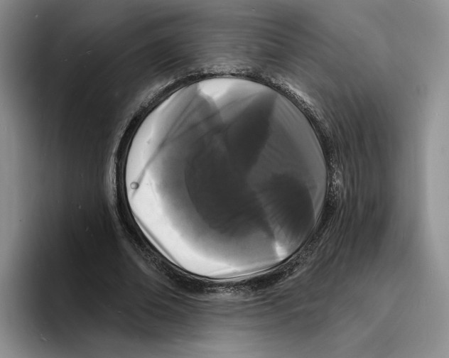 X0000096390678200802211142
