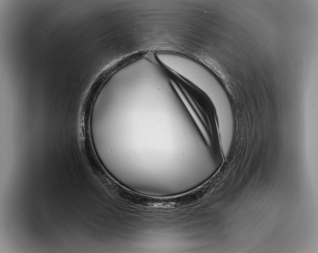 X0000096390680200802211142