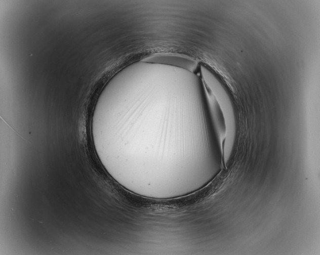 X0000096390681200802211142