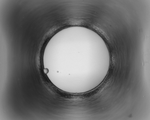 X0000096390682200802211142