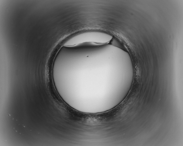 X0000096390684200802211142
