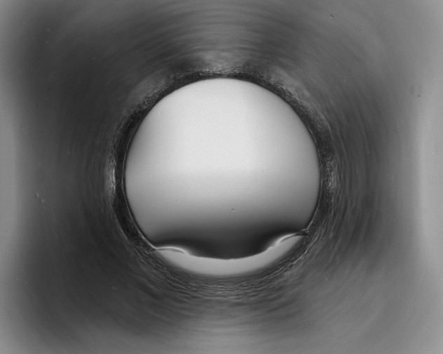 X0000096390685200802211142