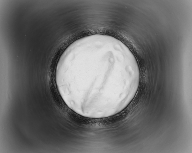 X0000096390687200802211142