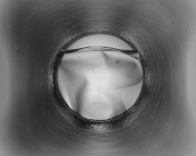 X0000096390688200802211142