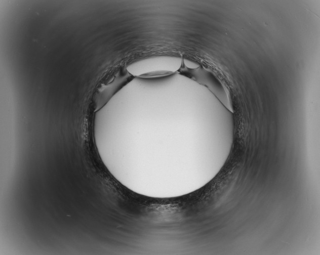 X0000096390689200802211142
