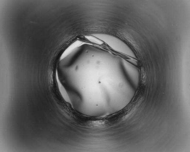 X0000096390692200802211142