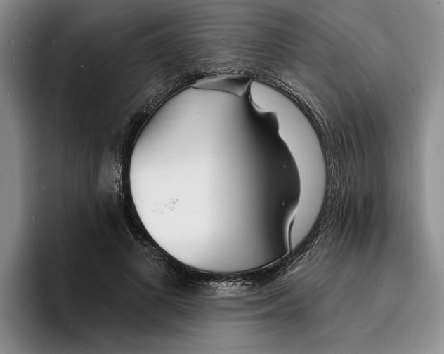 X0000096390693200802211142