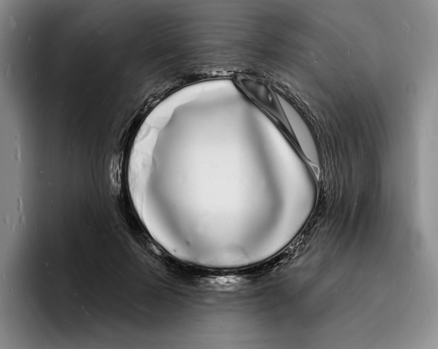 X0000096390695200802211142