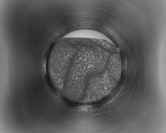 X0000096390696200802211142