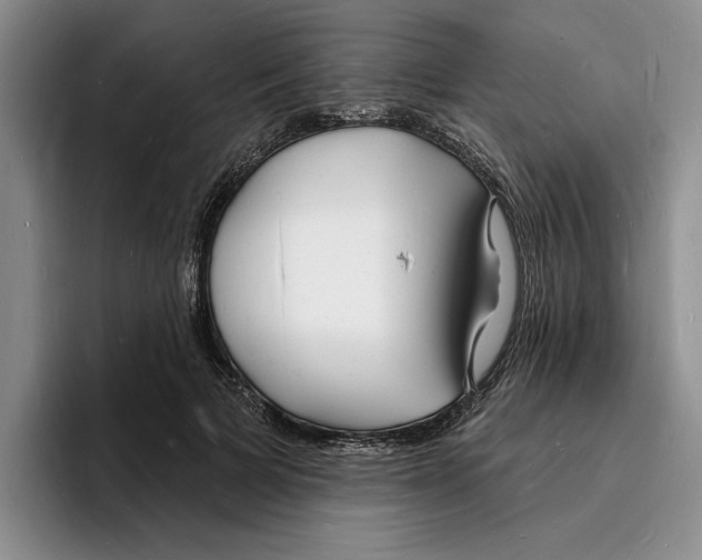X0000096390697200802211142