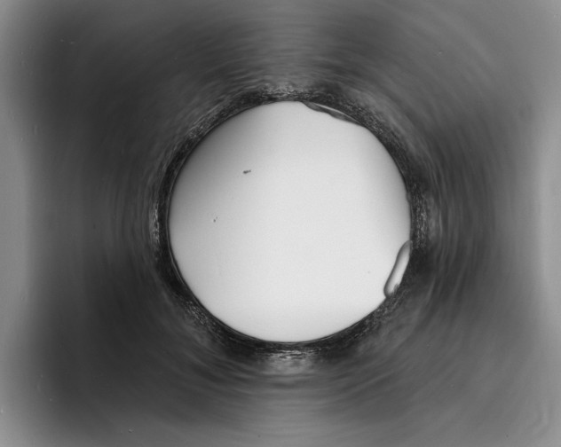 X0000096390700200802211142